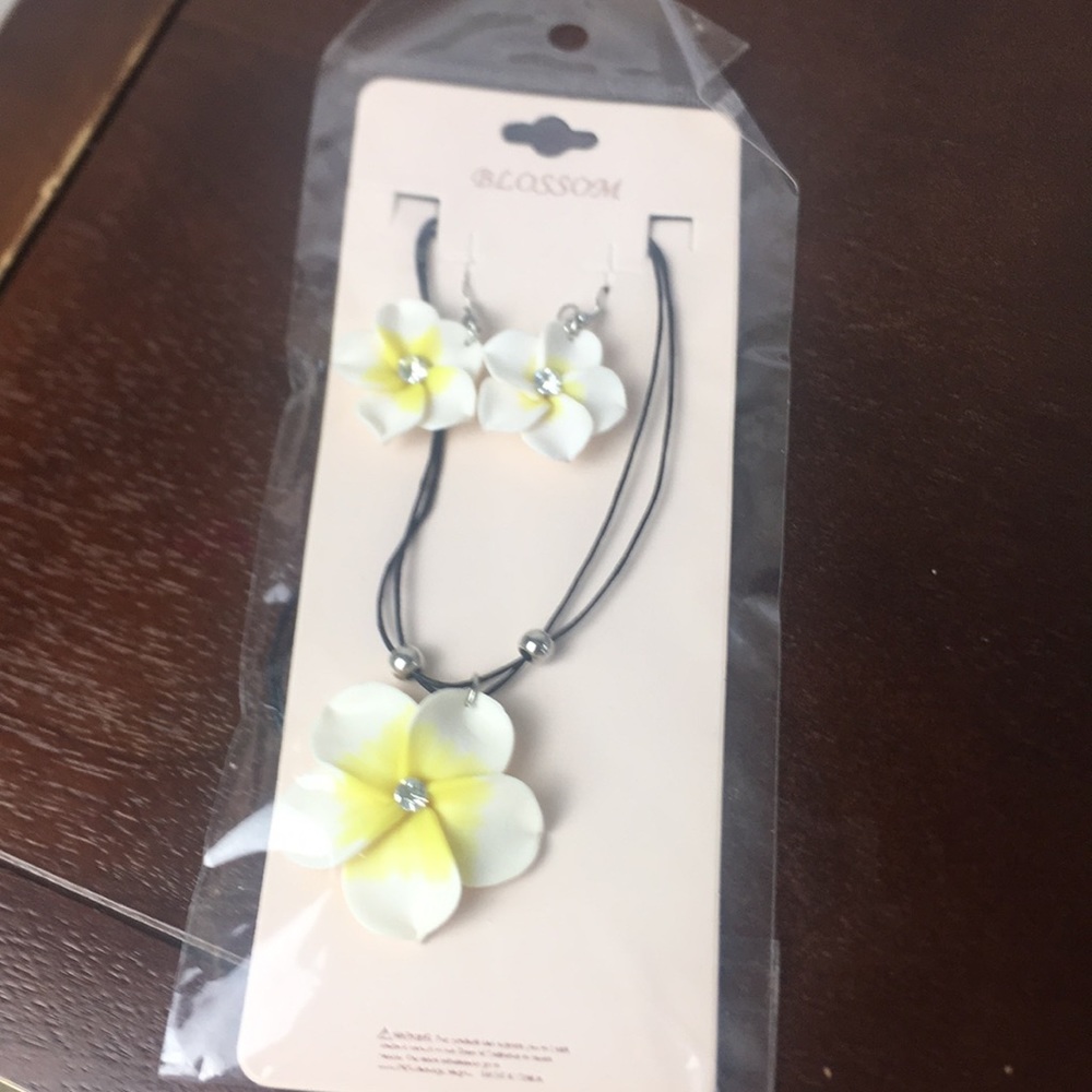 Earring necklaces and bracelets
